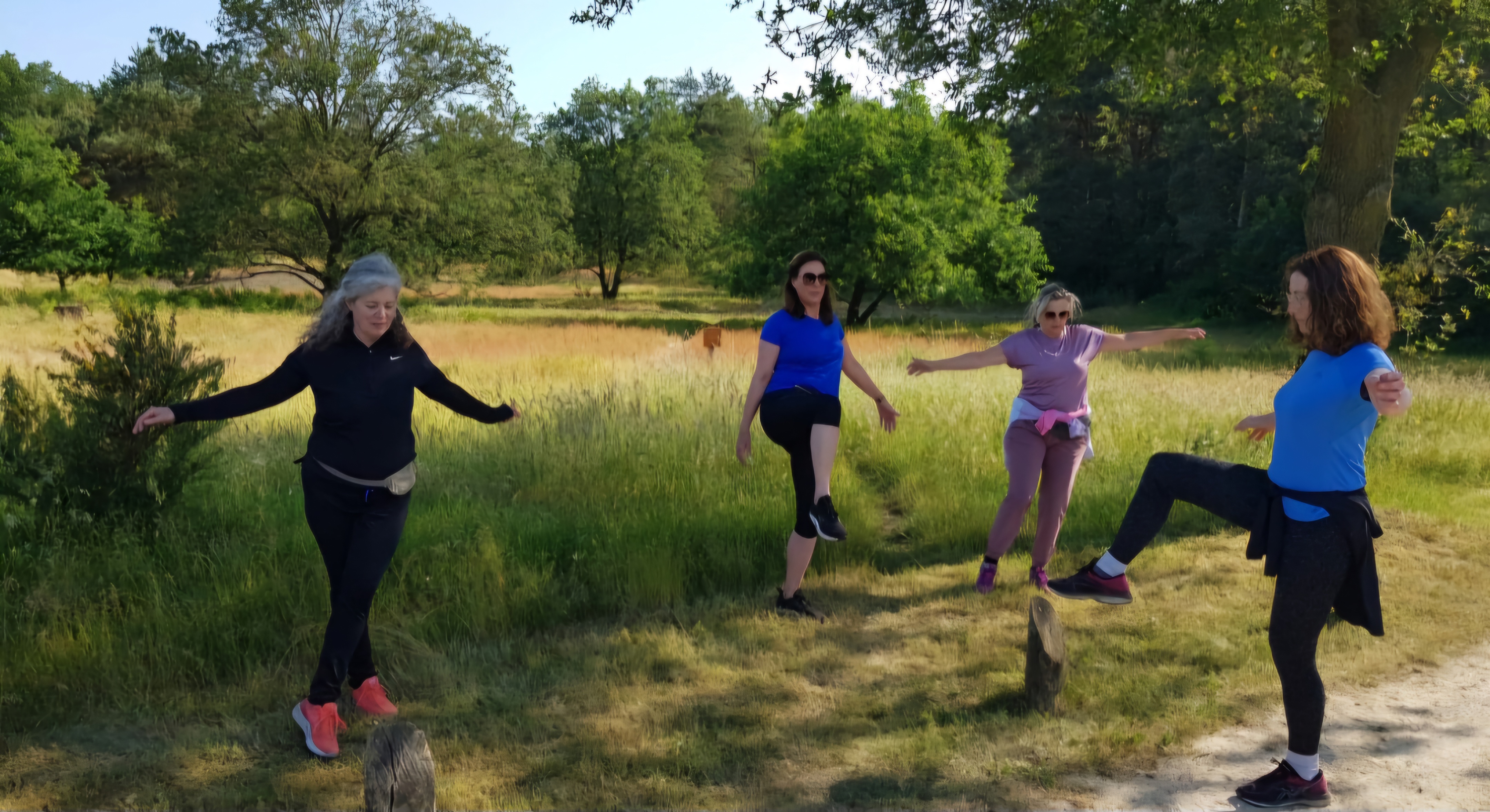 Balansoefening op boomstammen