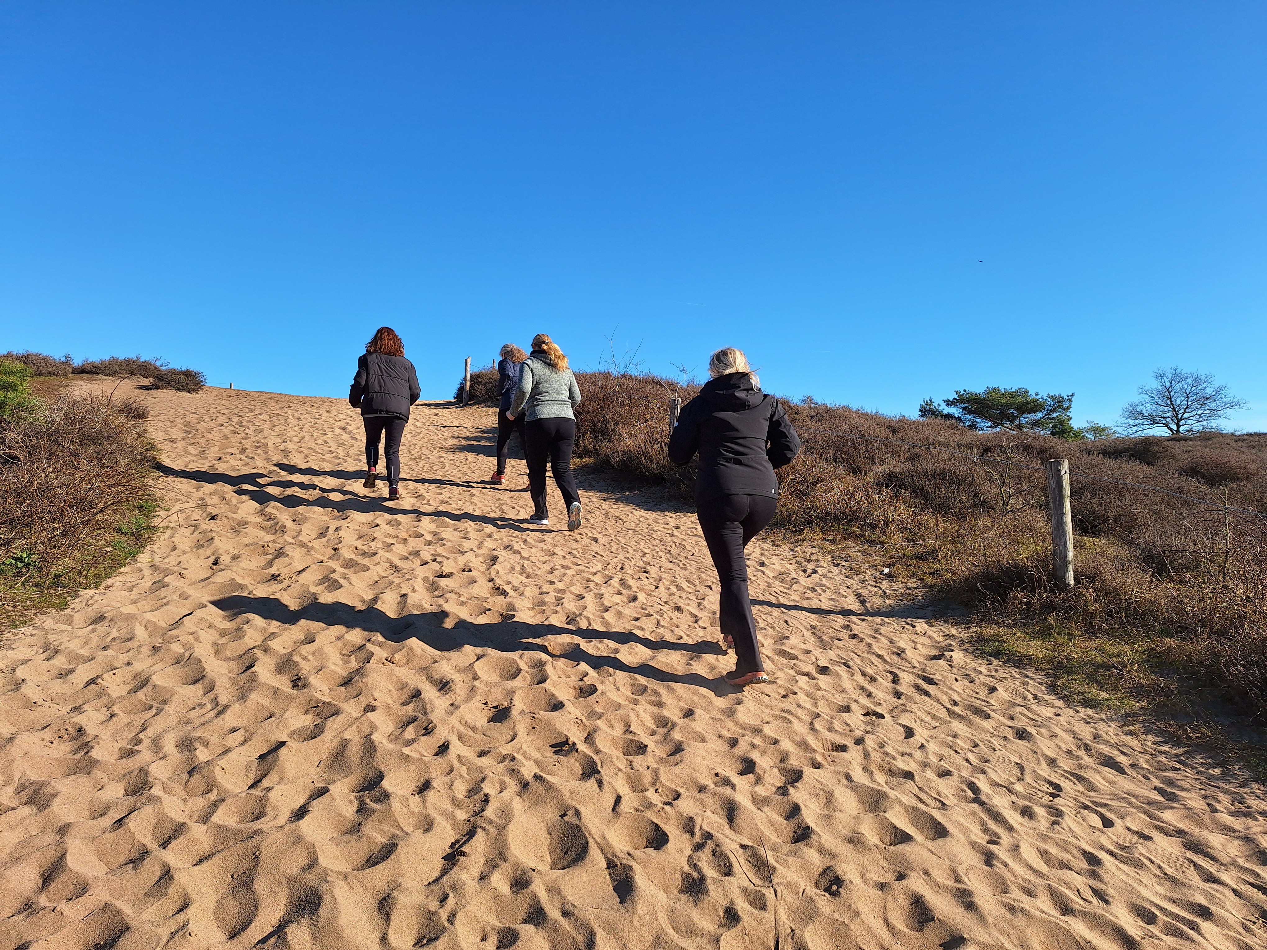 Powerwalken in de natuur