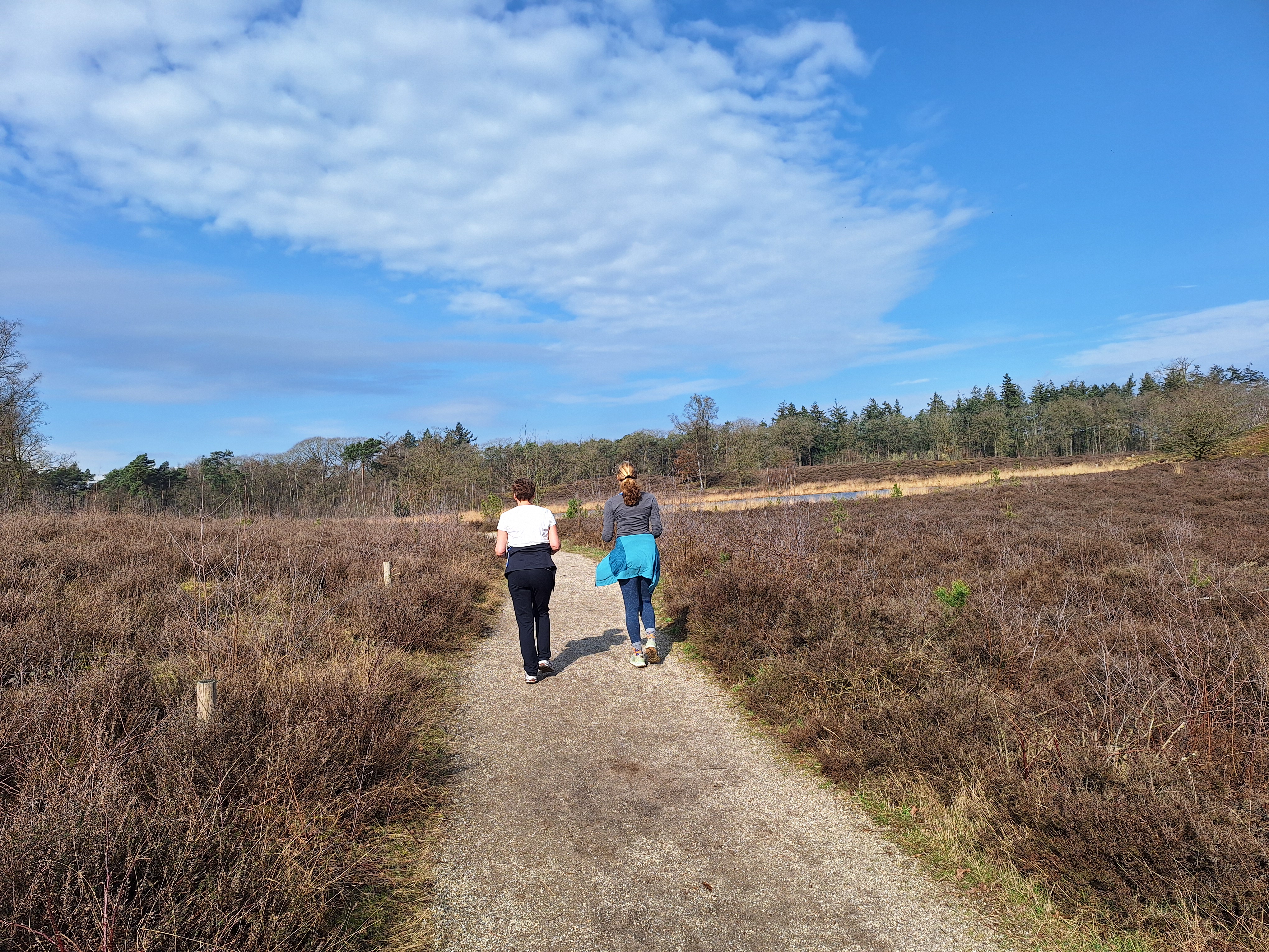 Wandelen over de heide